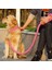 Ordu Yeşili Tarzı S Beden El Yapımı Iki Katlı Halat Büyük Köpek Tasma ve Kayış Seti Metal P Zincir Tokalı Eğitim Ipi Inek Halatı Köpek Aksesuarları (Yurt Dışından) 5