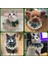 Yeşil Stil S-Pet BOYUN20-25CM Sürücü Sıcak Yeşil Köpek Tasma Fiyonk Tatlı Romantik Boyunluk Yavru Kolye Pet Pomeranian Kedi Aksesuarları Tüm Hava Durumu (Yurt Dışından) 4