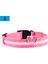 Pembe Tarzı Xl Beden Evcil Hayvan Malzemeleri LED Evcil Köpek Kedi Tasma, Gece Güvenlik Işıldayan Kedi Tasma, Küçük Köpekler Parlak Ayarlanabilir Tasma (Yurt Dışından) 1