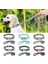 Yeşil 6 Tarzı S Beden Köpek Tasma Tasması Kişiselleştirilmiş Özel Naylon Köpek Tasma Kurşun Ad Kimlik Etiketleri Küçük Orta Büyük Köpek Pitbull Bulldog Beagle Tasma (Yurt Dışından) 2