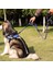 Siyah Kısa 60X1.2CM Stili Büyük Köpekler Için Yansıtıcı Tasma Naylon Yumuşak Saplı Köpek Tasma Evcil Hayvan Ürünü Dış Mekan Çift Tasmalar Köpek Eğitimi (Yurt Dışından) 3