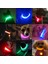 Kırmızı Stil 32-37CM USB Şarjlı Kaybolmayı Önleyici Trafik Kazası Kolye Köpekler Için - Ürünler (Yurt Dışından) 2