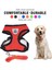 Yeşil Stil Xl Beden Ayarlanabilir Köpek Çekiş Kemeri Göğüs Kemeri Çekiş Kemeri Yele Tasma Nefes Alabilir Kedi ve Köpek Aksesuarları (Yurt Dışından) 2
