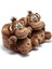 Monkey Unisex Hayvanlı Panduf Kahverengi 36/43 AA0600 2