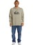 Big Logo Hoodie Erkek Sweatshirt 4