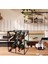 Modern 4 Lü Metal ve Deri Şarap Viski Şampanya Standı Dekoratif Wine Rack Drink Stand 2