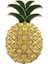 Ananas Kadın Broş 1