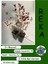 Iri Meyveli Likapa Yaban Mersini Meyve Fidanı 1 Adet (40-60CM) Reka Blueberry 2