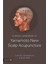 Clinical Handbook Of Yamamoto New Scalp Acupuncture (Kapak Değişebilir) 1