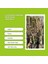6 Yaş Bursa Dürdane İncir Fidanı 'Rootball' 2