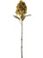 Concept Ortanca Kurutulmuş Çiçek 84 cm 1