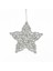 Süsü Askılı Yıldız 6'lı Paket Lame 11X11 Cm. 1