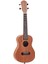 MU23C Concert Ukulele 1