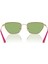 Eyewear Güneş Gözlüğü 3