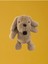 Salaş Köpek 1
