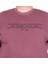 Erkek Büyük Beden Sıfır Yaka 3ip Sweat Original 24203 Eflatun 3