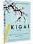 Ikigai - Japonların Uzun ve Mutlu Yaşam Sırrı - Hector Garcia – Alfa Kalem 1