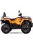 Regal Raptor Lınhaı F320 4x4 Onnroad Atv 1