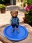 Teddy Bear Ralph L Çerezlik - Kahvaltı - Kahve - Meyve Sunum Tabağı 1