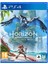 HORIZON FORBIDDEN WEST - PlayStation 4 (PS4) Hesap 1