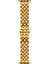 Apple Watch 7 45MM Uyumlu Krd-20 Metal Kordon - Siyah 5