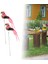 2 Kuş Kazıkları Gerçekçi Kuş Dekoru Patio Ev (Yurt Dışından) 3