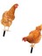 2x Tavuk Hayvan Heykeli Kazığı Avlu Bahçe Çim Için Tavuk Heykeli (Yurt Dışından) 2