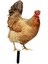 Dekoratif Tavuk Kazıkları Hediyeleri Açı I Için Akrilik Heykelcik A (Yurt Dışından) 3
