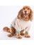 Bej Dino Star Sweat Küçük ve Orta Irk Sweat 3