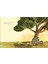 What Do You See When You Look At A Tree? 5