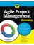 Agile Project Management For Dummies 1