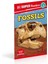 Dk Super Readers Level 3 Fossils 3