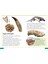 Dk Super Readers Level 3 Fossils 5
