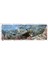Life Through Time: The 700-MILLION-YEAR Story Of Life On Earth 4