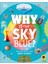 Why Is The Sky Blue?: With 200 Amazing Questions About Science 1