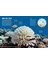 Britannica All New Children's Encyclopedia: What We Know & What We Don't 3