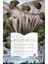 Papyrus: The Invention Of Books In The Ancient World 1