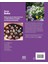 Grow Bulbs: Essential Know-How And Expert Advice For Gardening Success 2
