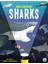 Magic Searchlight - Sharks 1