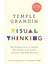 Visual Thinking: The Hidden Gifts Of People Who Think In Pictures, Patterns And Abstractions 1