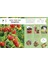 The No-Cook Cookbook 4