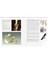 Design For Jewellery Makers: Inspiration, Development And Creation 4