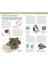 Nature Guide Rocks And Minerals: The World In Your Hands 4