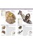 Nature Guide Rocks And Minerals: The World In Your Hands 5