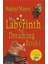 The Labyrinth Of Dreaming Books 1