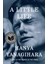 A Little Life: A Novel 1