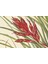 Wild Flowers Of North America: Botanical Illustrations By Mary Vaux Walcott 2