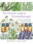 The Ultimate Guide To Aromatherapy: An Illustrated Guide To Blending Essential Oils And Crafting Rem 1
