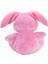 Şirin Tavşan Orta Boy Peluş 50 cm 2