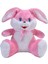 Şirin Tavşan Orta Boy Peluş 50 cm 3